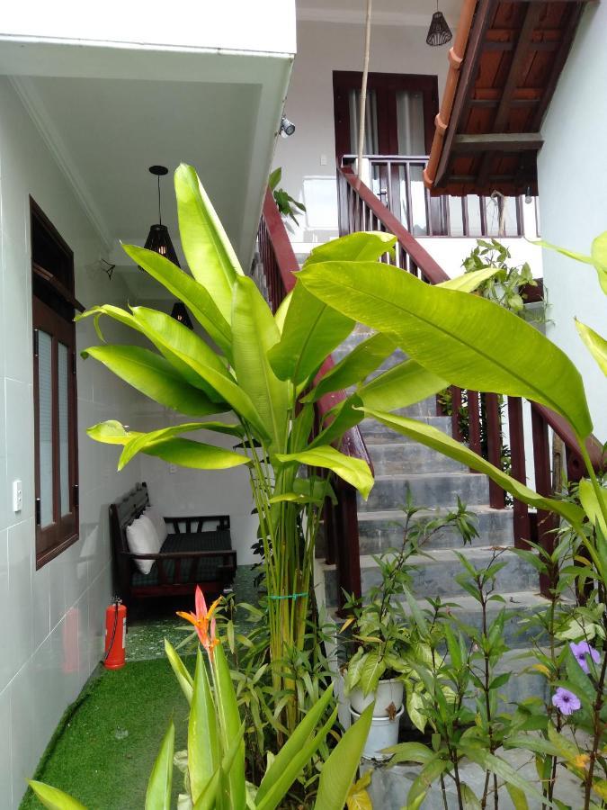 Pink Beach Homestay 会安 外观 照片